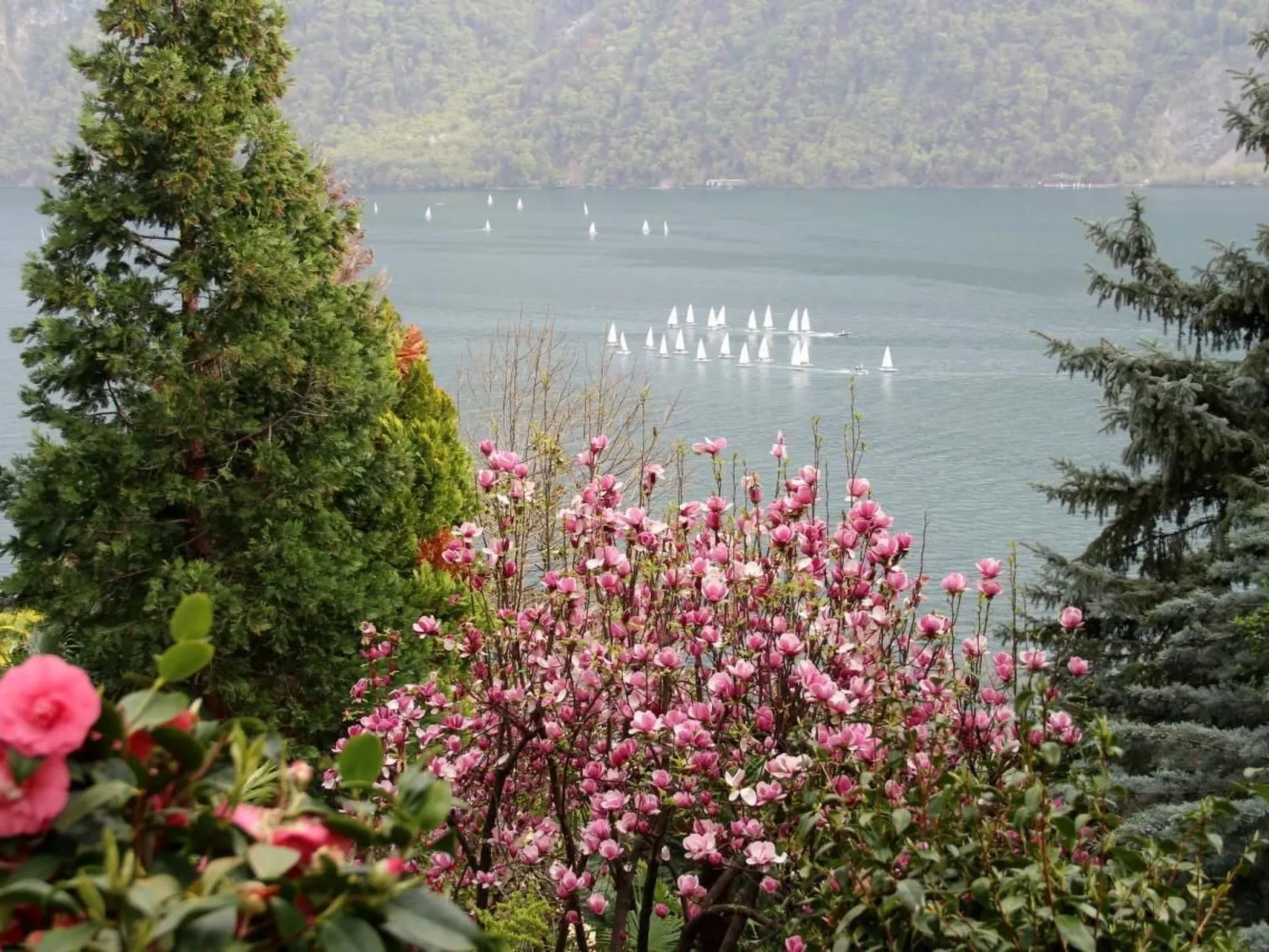 Garten-Wohnung-Buiten