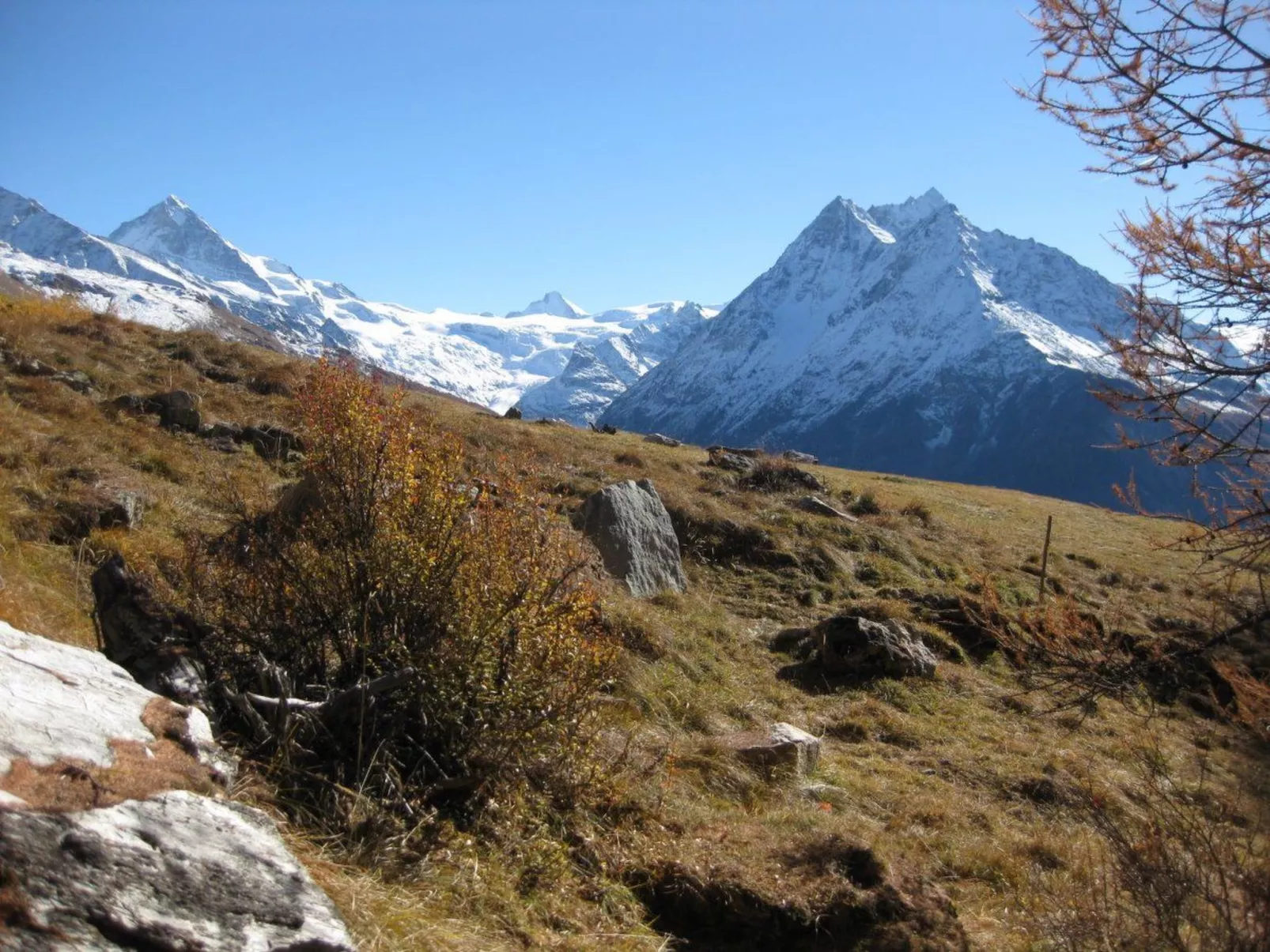 Alp 2100 - Mayen exklusiv-Binnen