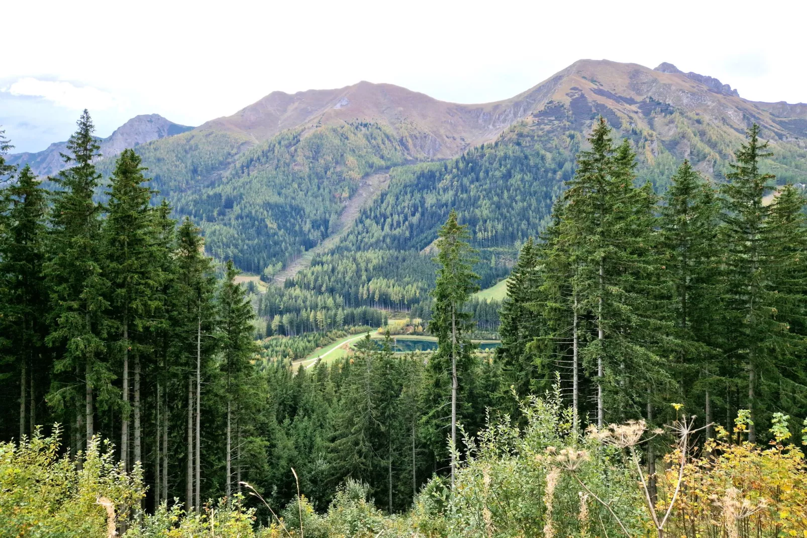 Panoramahütte Präbichl-Uitzicht zomer