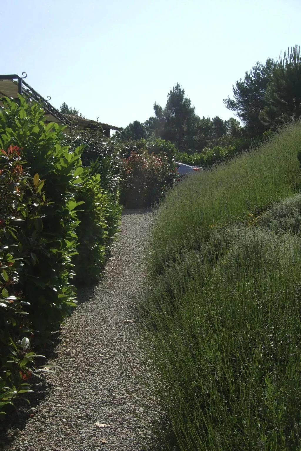 Apartment mit Pool Infinity-Image-tags.info