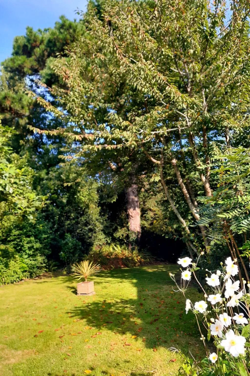 Haus auf der Halbinsel Plougastel-Buiten