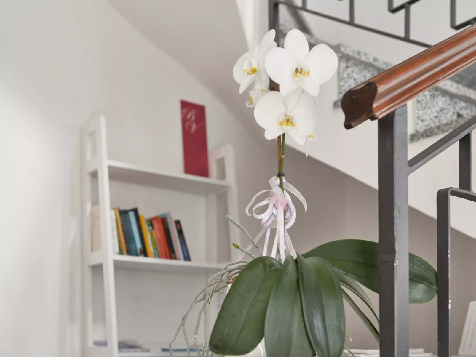 Komfort-Apartment mit Balkon BV1-Image-tags.info