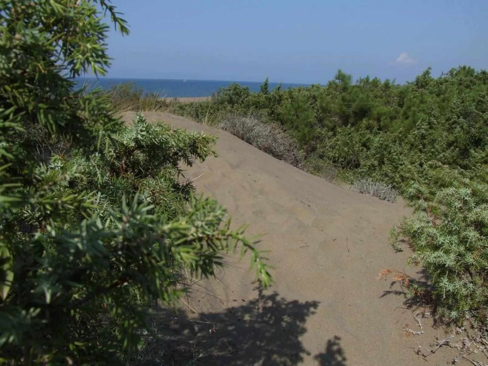 Iris' Wohnung mit Terrasse-Buiten