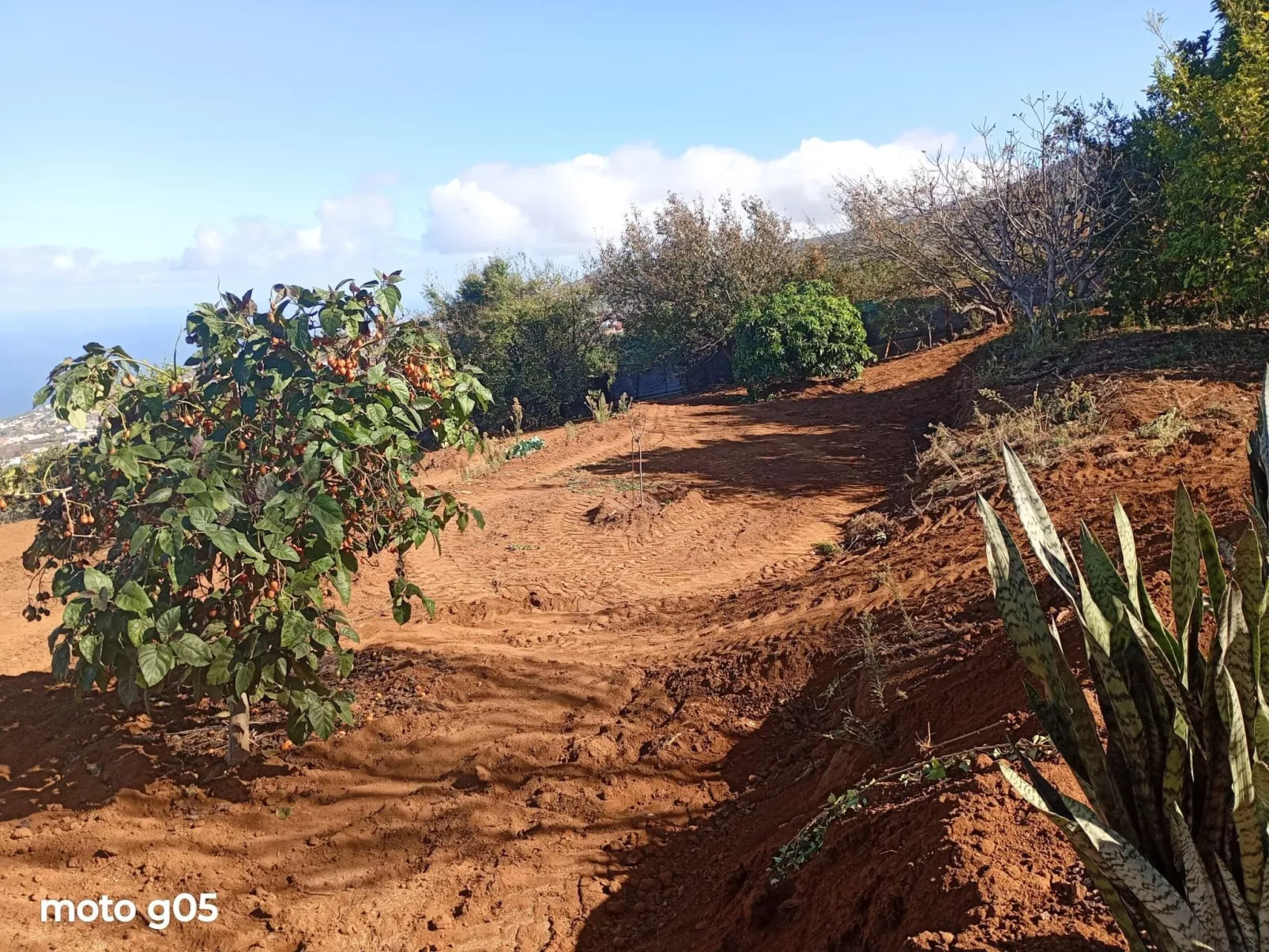 "El pajal House Relax"-Binnen