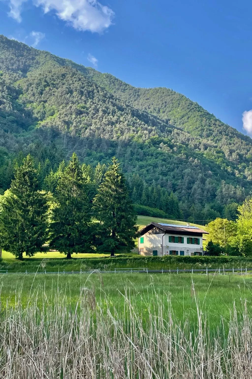 Gesegnet wie Frösche auf einem Seerosenblatt-Buiten