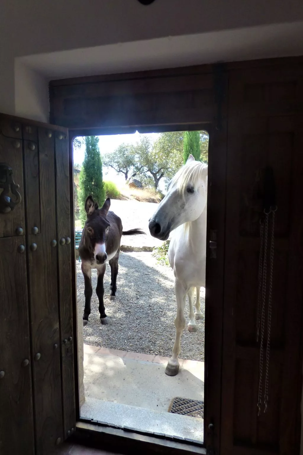 Das Cortijo auf der Finca al-manzil-Image-tags.info