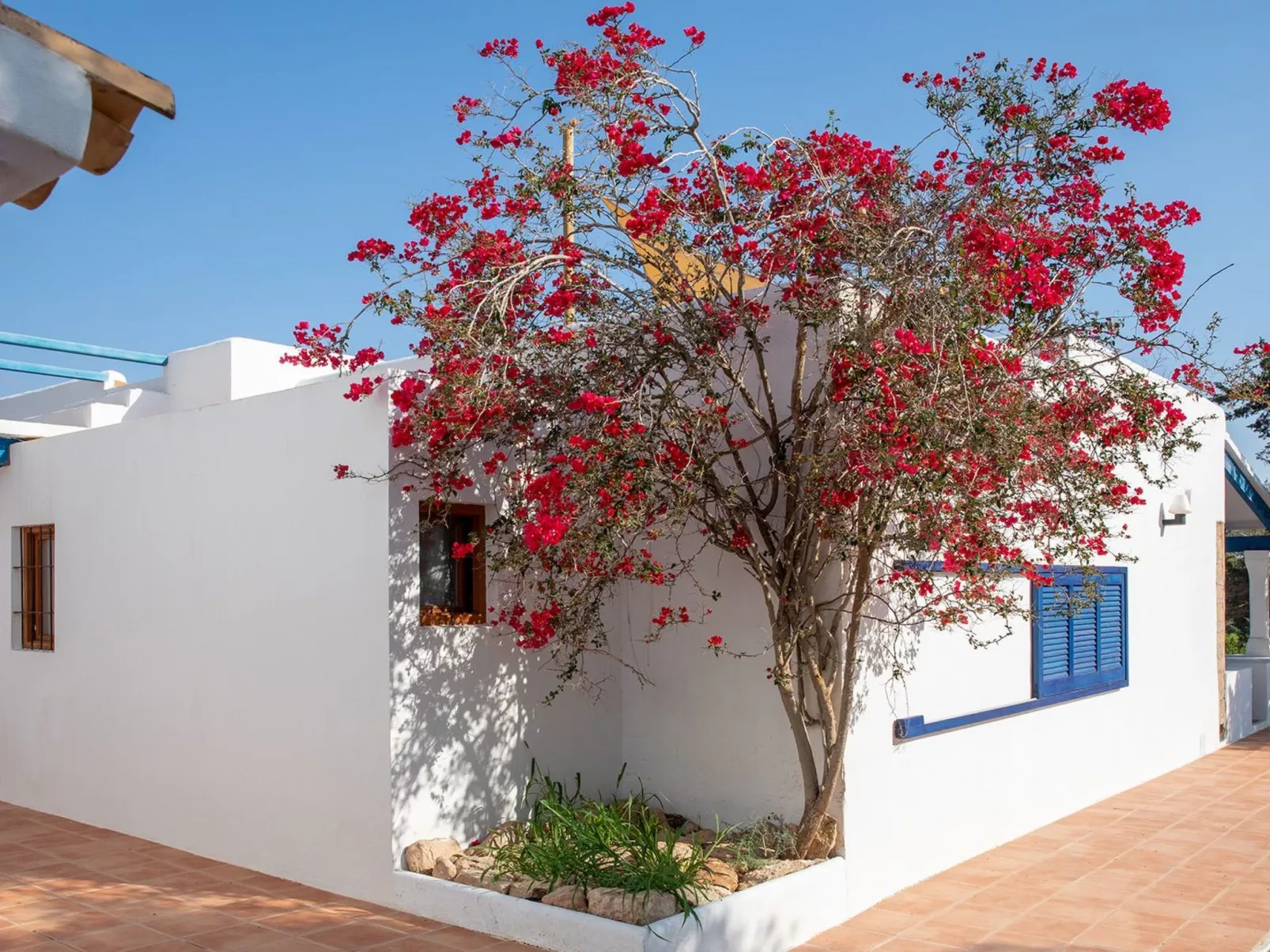 Casa Tramontana 4 pax.  Migjorn Gebiet-Buiten