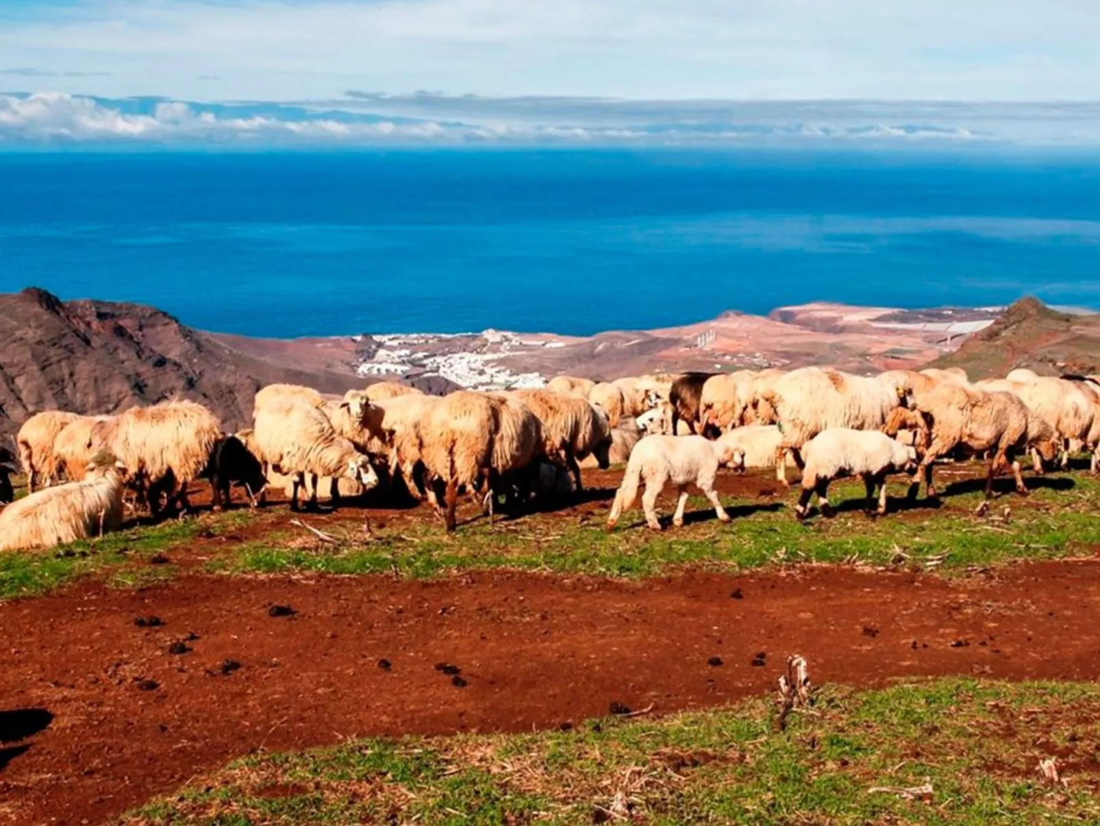 Landhaus "La Cabaña" mit Privatparkplatz-Buiten