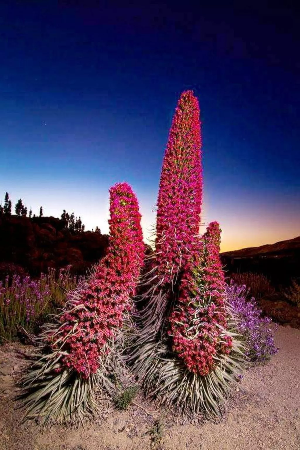 Luxuriöser Rückzugsort mit direktem Meerzugang und Pool-Image-tags.info