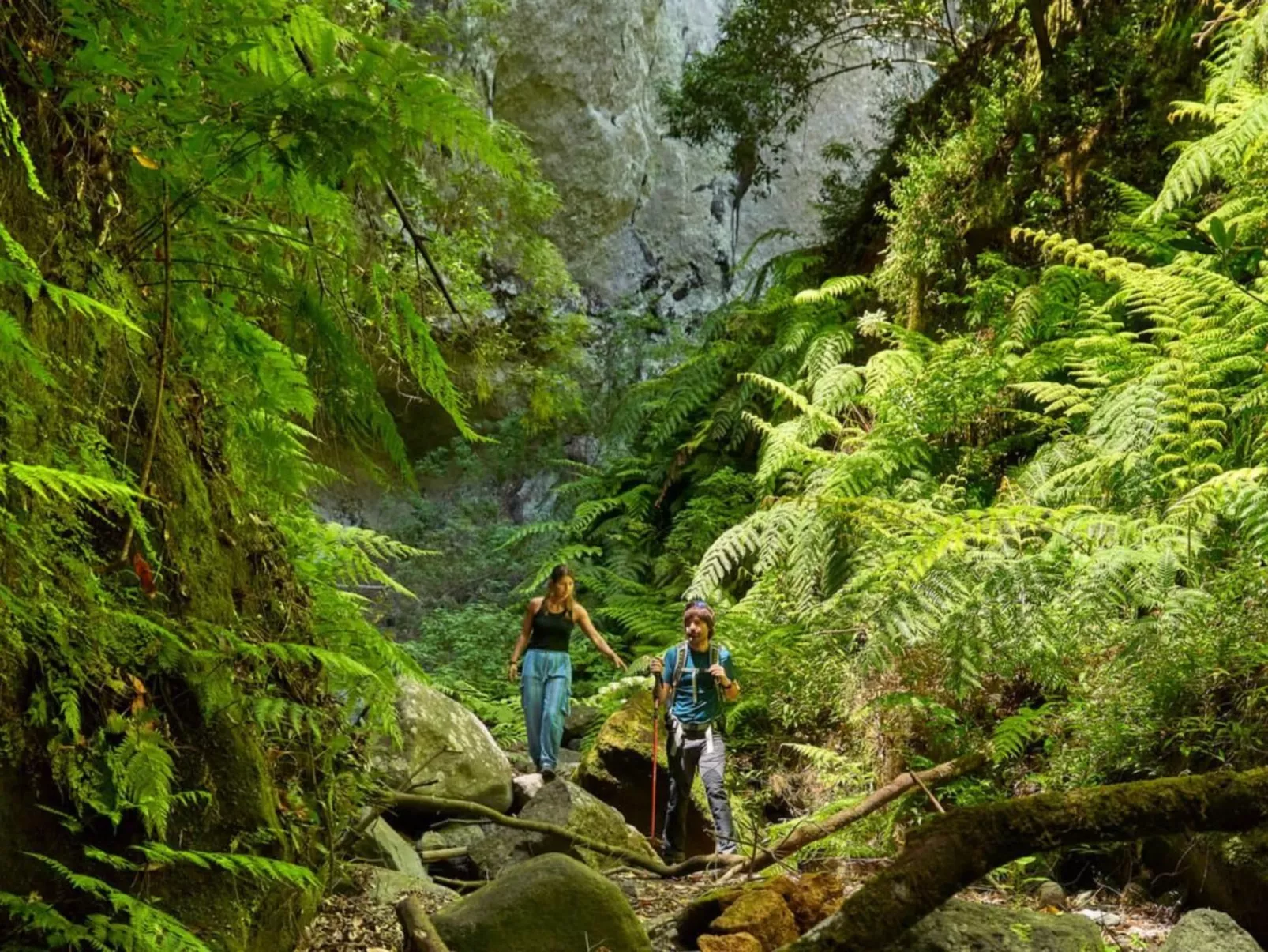 Haus Stadt La Palma 2BedR-Image-tags.info