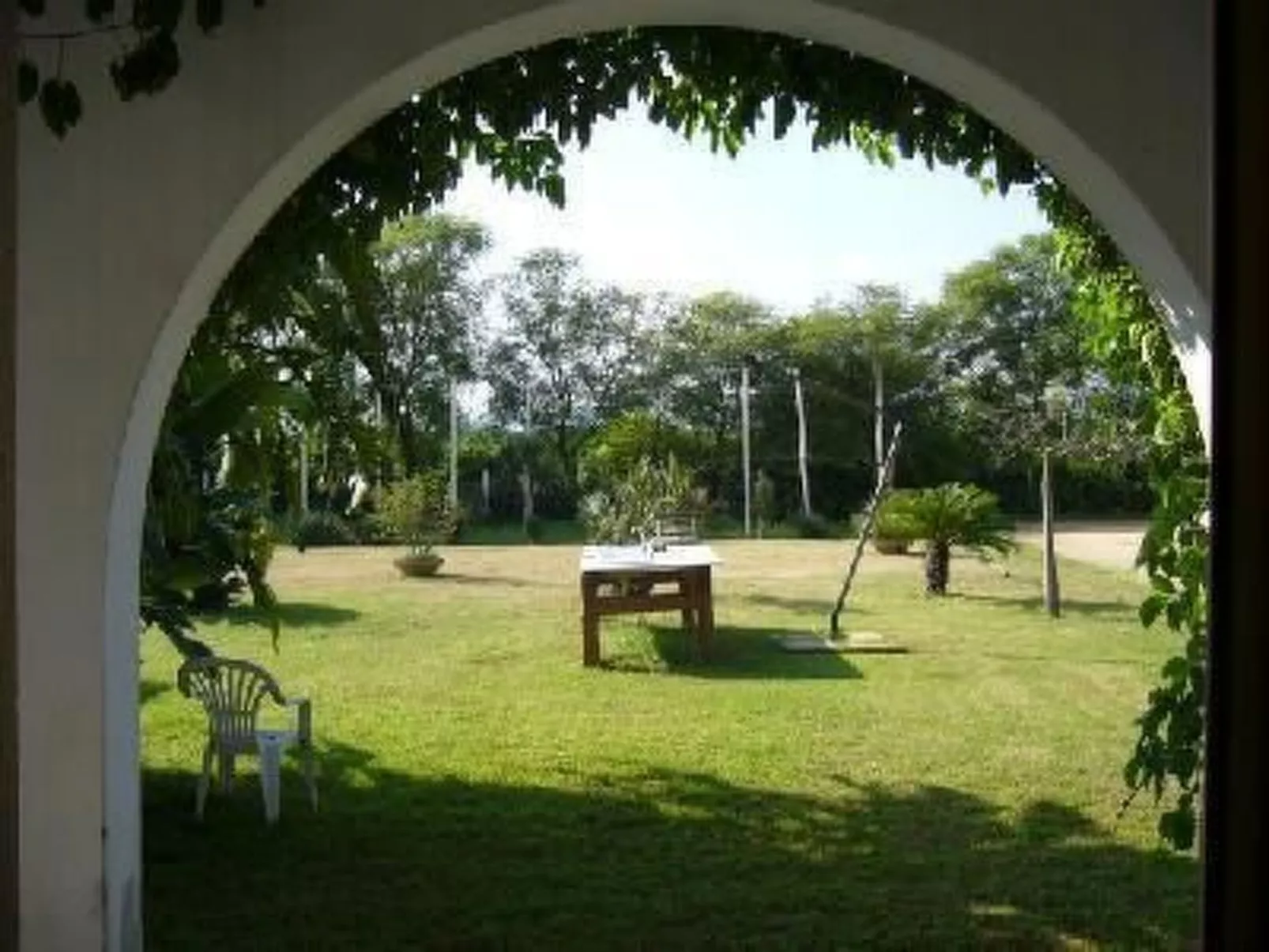 Cuore di Palme Bilo-Buiten