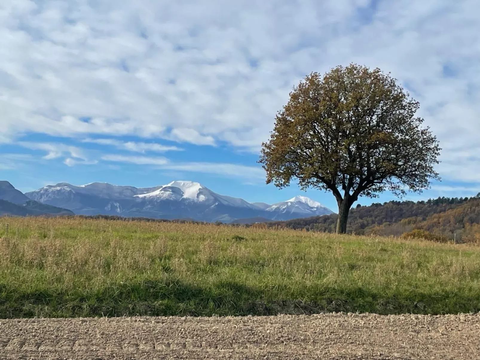 Monte Pino-Image-tags.info