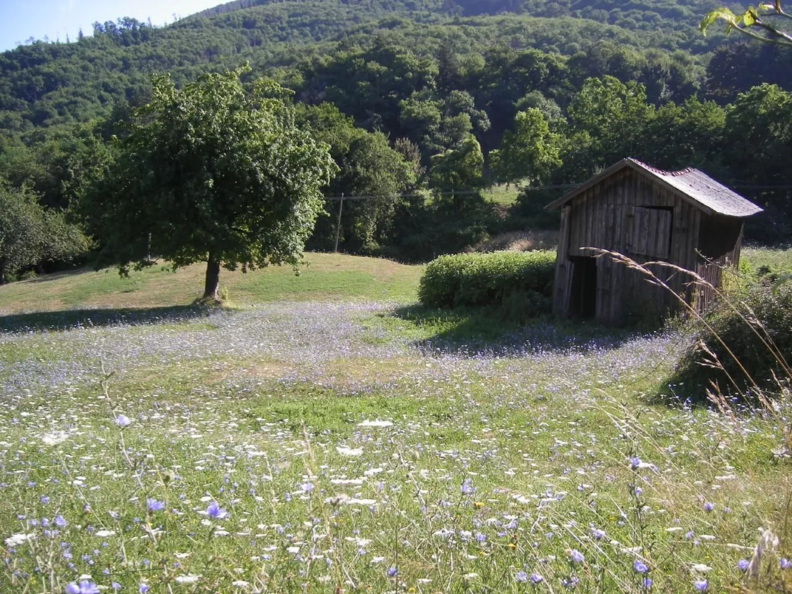 CasaMasa' Wohnung mit Bergblick-Buiten