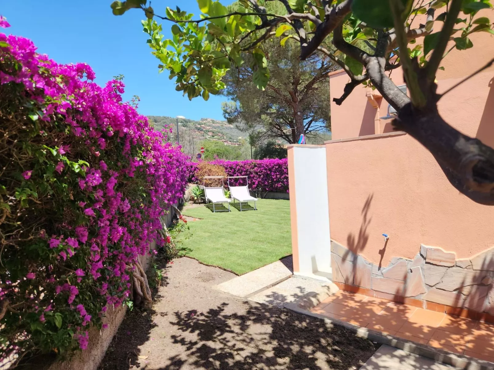 'Trilo Luna-Image-tags.info