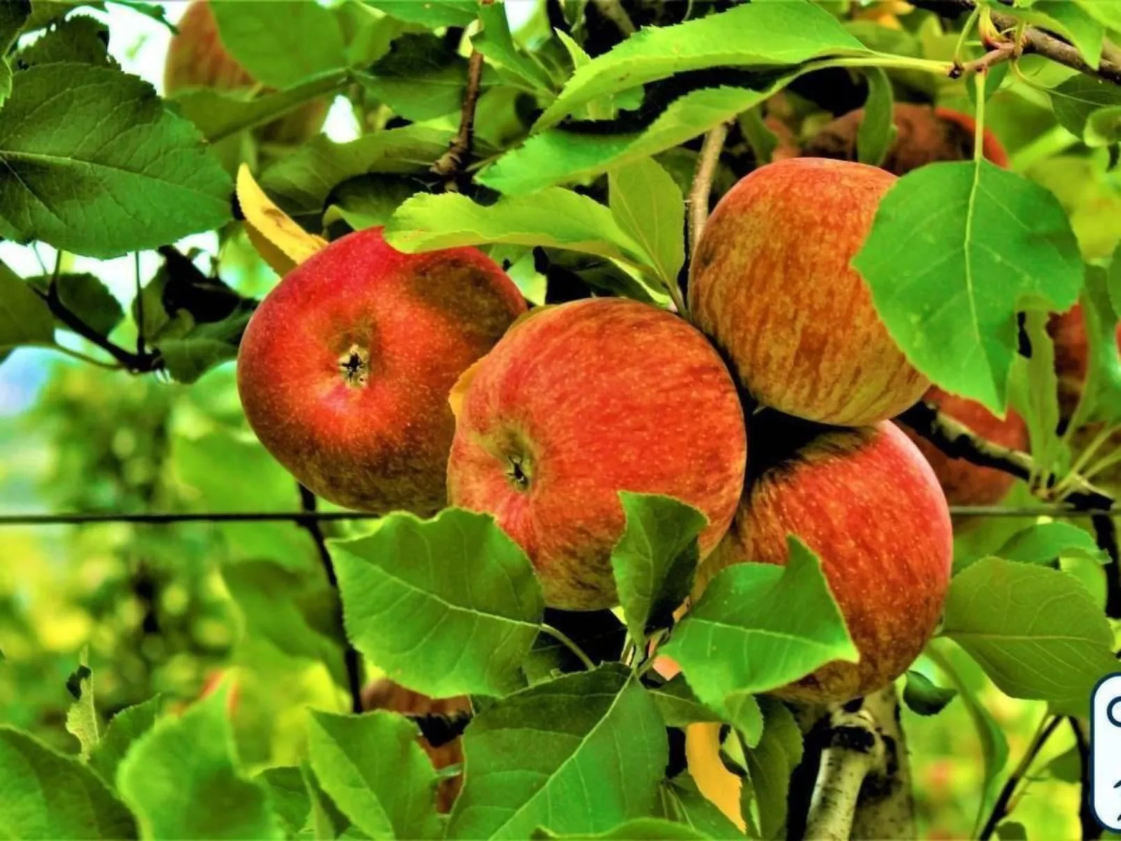 'Antico Eremo'-Image-tags.info