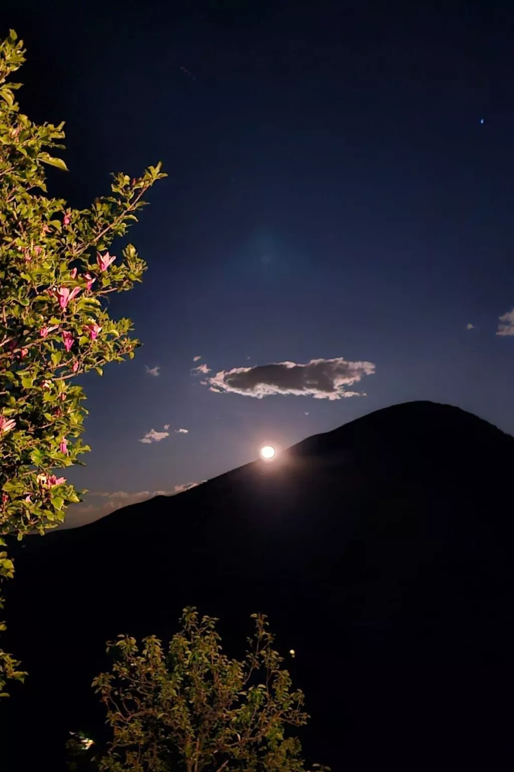 Casa Piccola-Image-tags.info