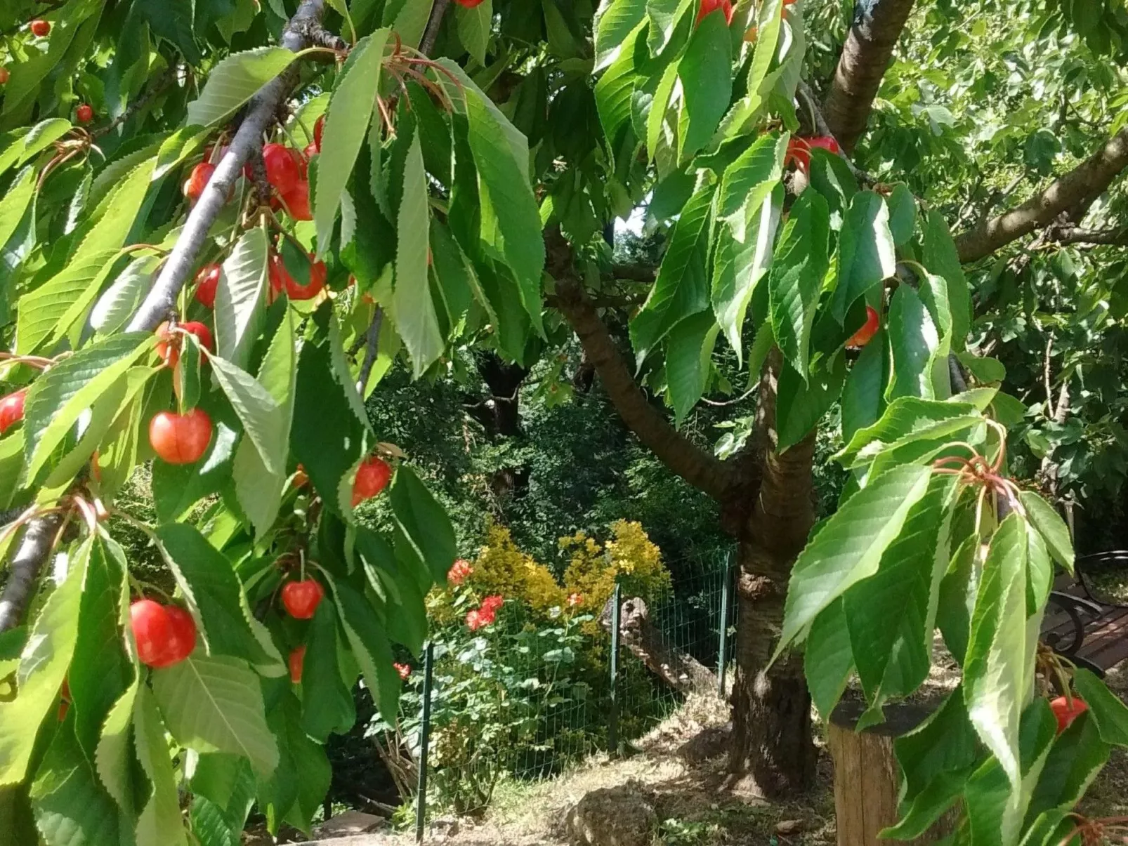 Flacher Pool-Image-tags.info