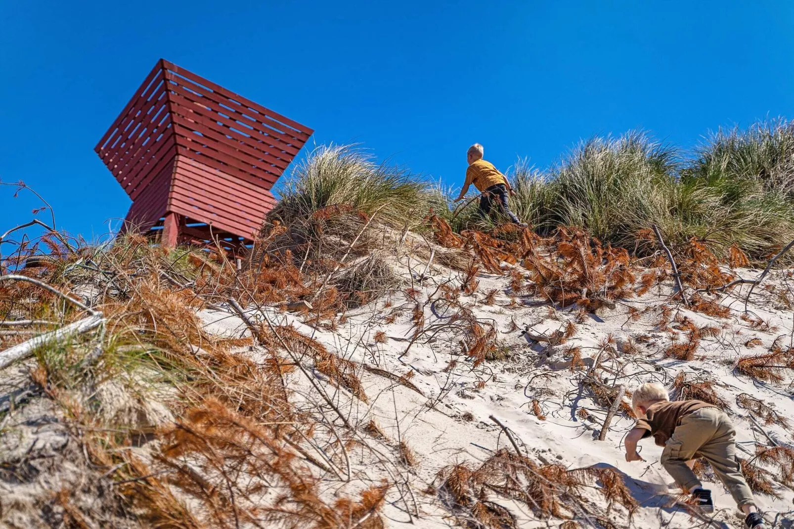 6 persoons vakantie huis op een vakantie park in Blokhus-Niet-getagd