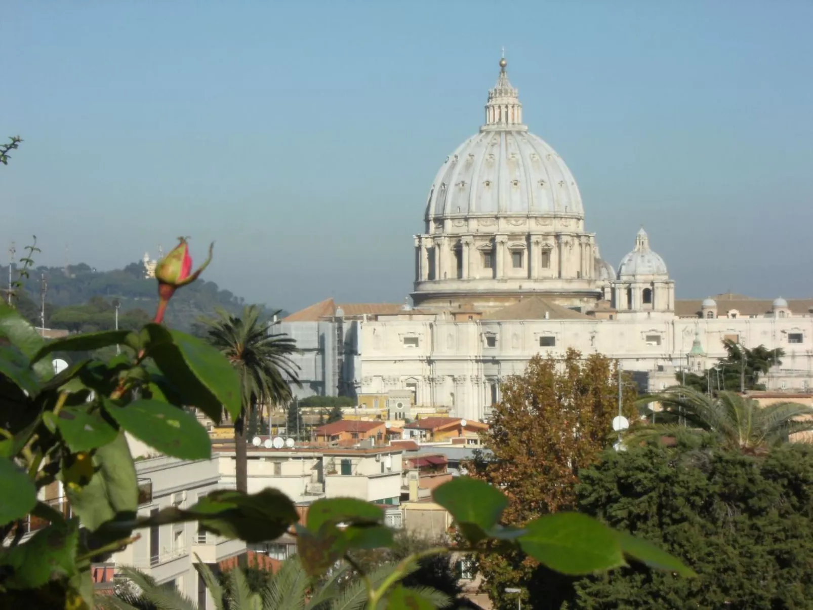 San Pietro-Image-tags.info