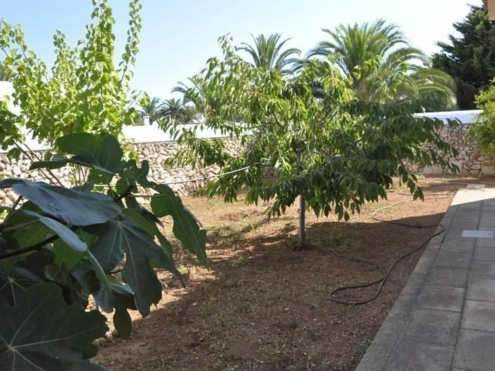 Ferienvilla "Francisca-Buiten