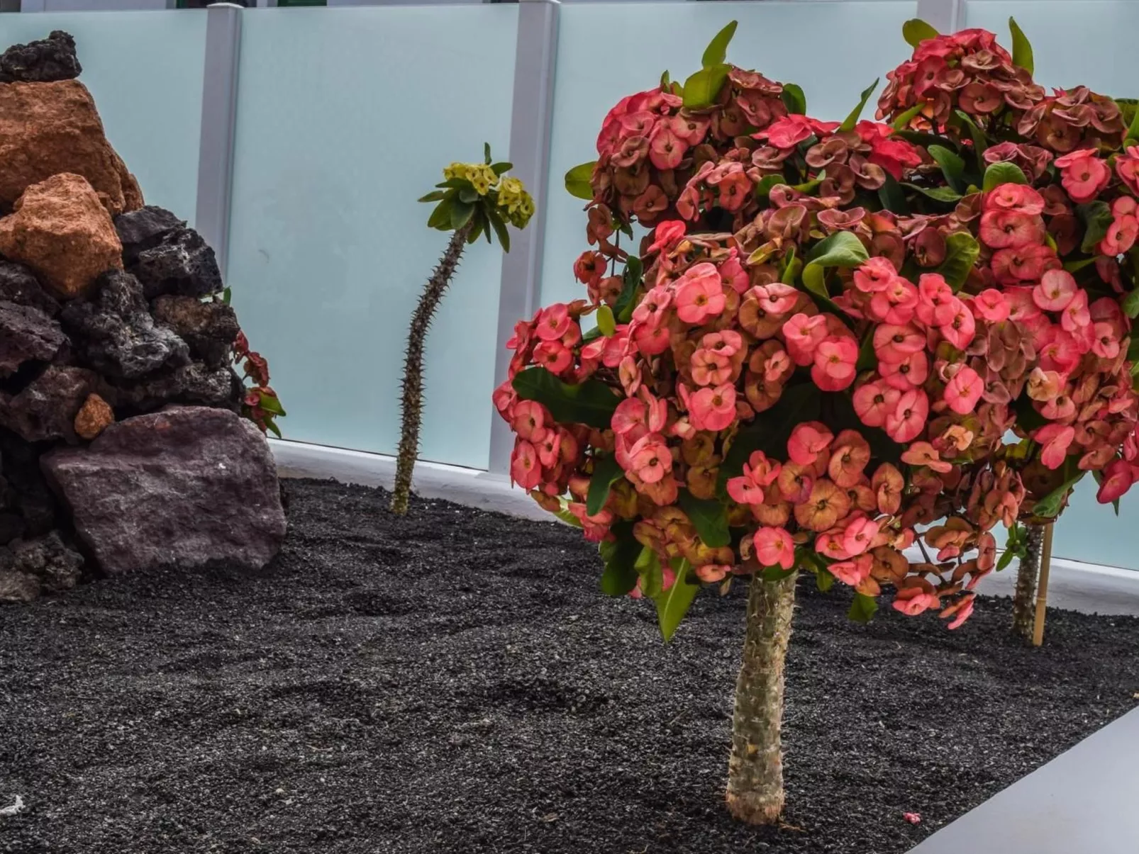 Apartamento con terraza-Image-tags.info