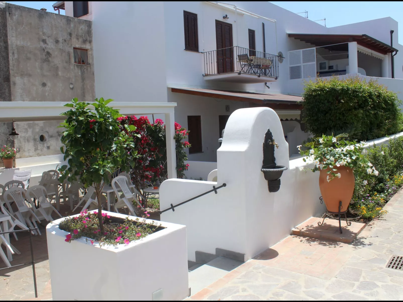 'Camelia ab 236-Image-tags.info