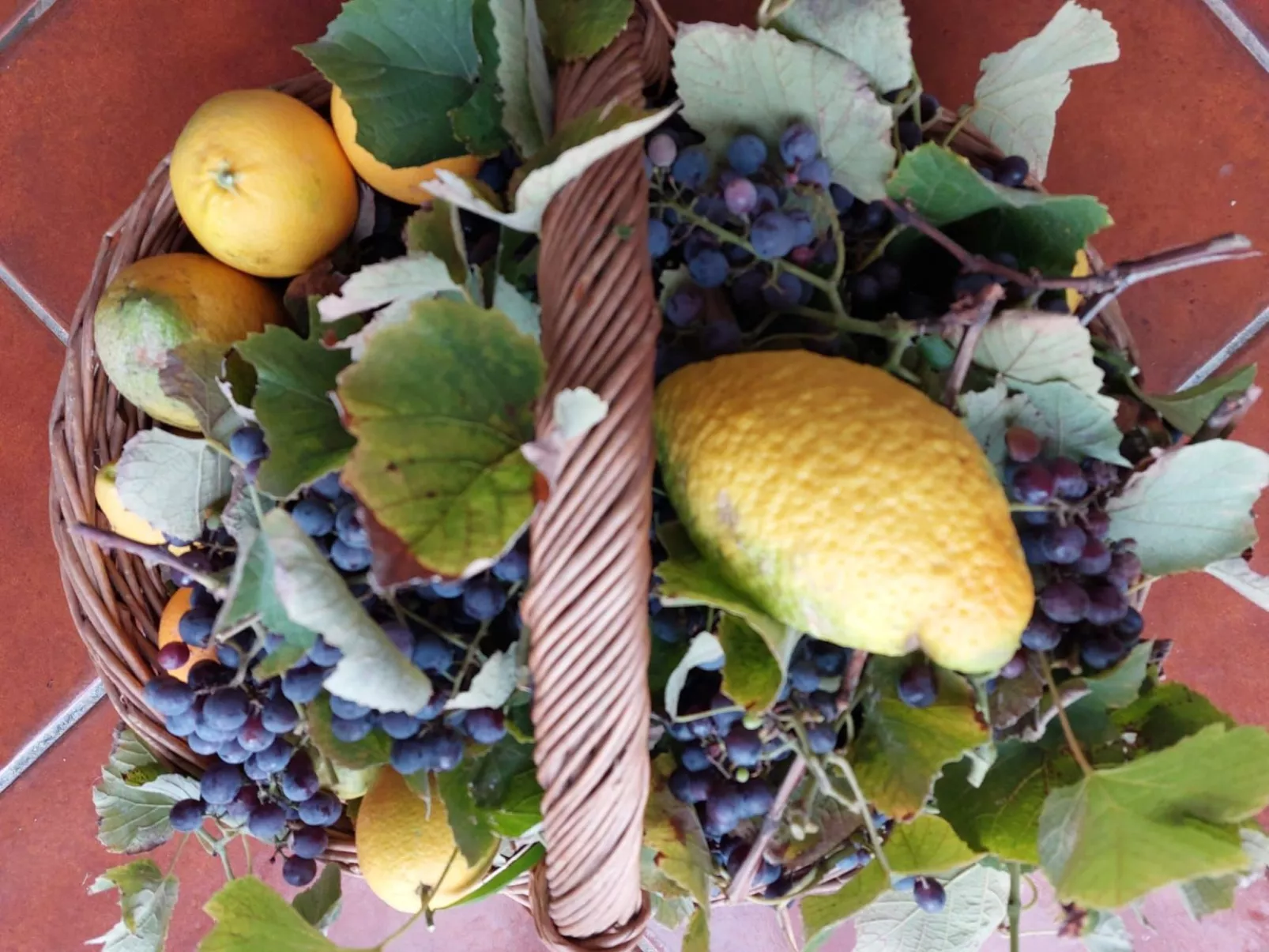 Entspannung, Meer, Natur, Kultur-Image-tags.info