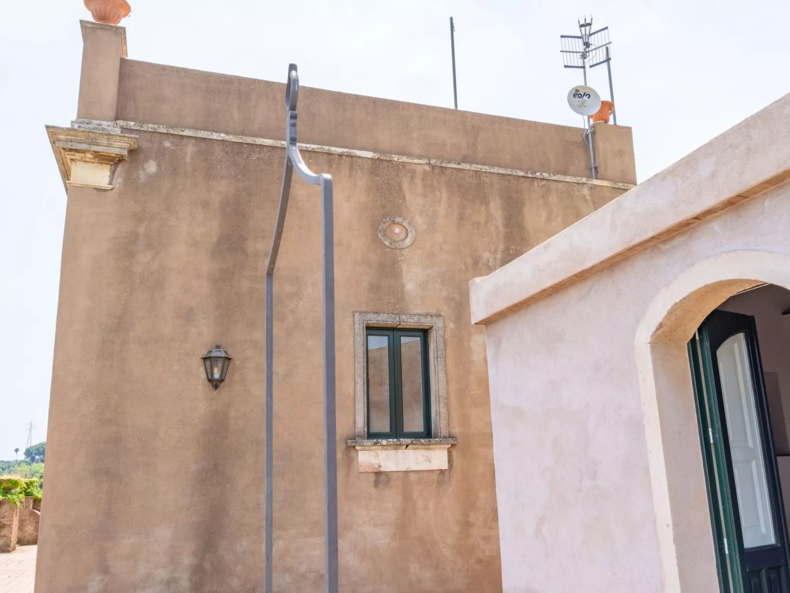 Avocado Garten-Binnen