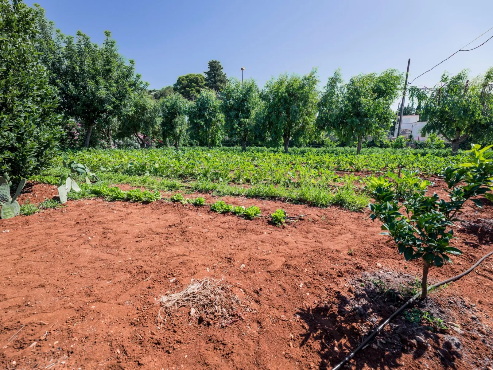 Casal del Borgo 2-Binnen