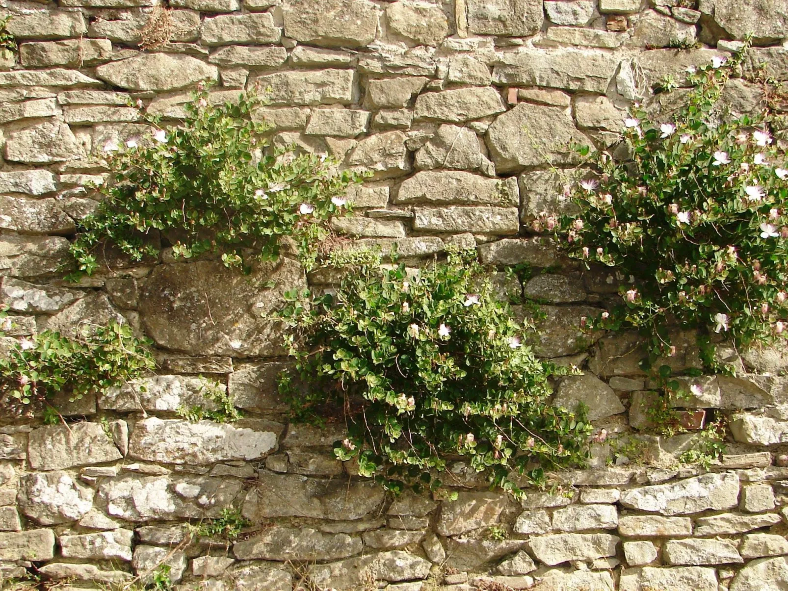 Villa mit Pool und zauberhafter Aussicht-Image-tags.info