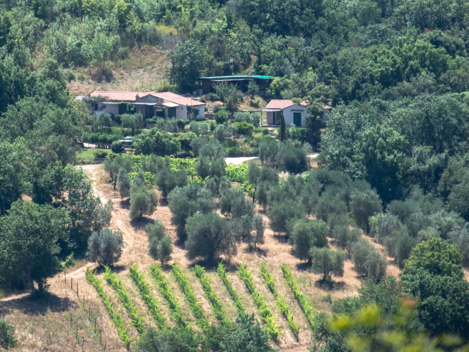 Il Borghetto, bis zu 19 Betten-Image-tags.info