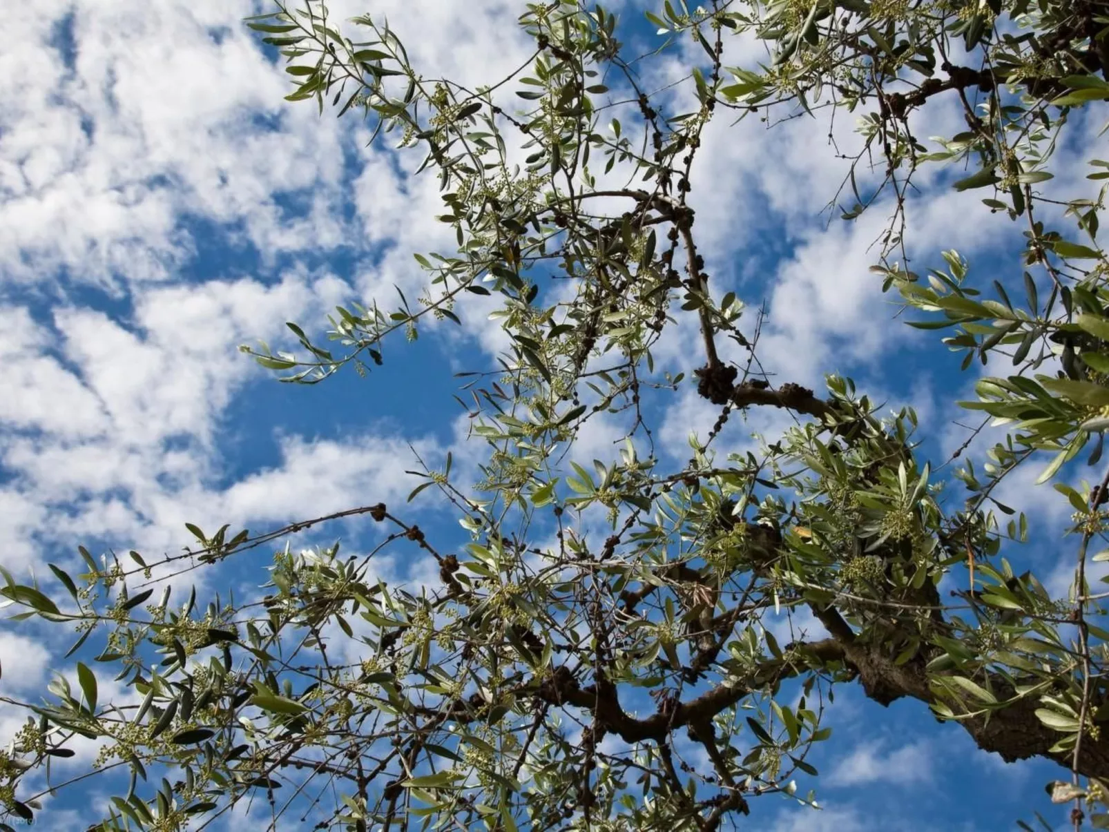 Bauernhof-Scheune-Buiten