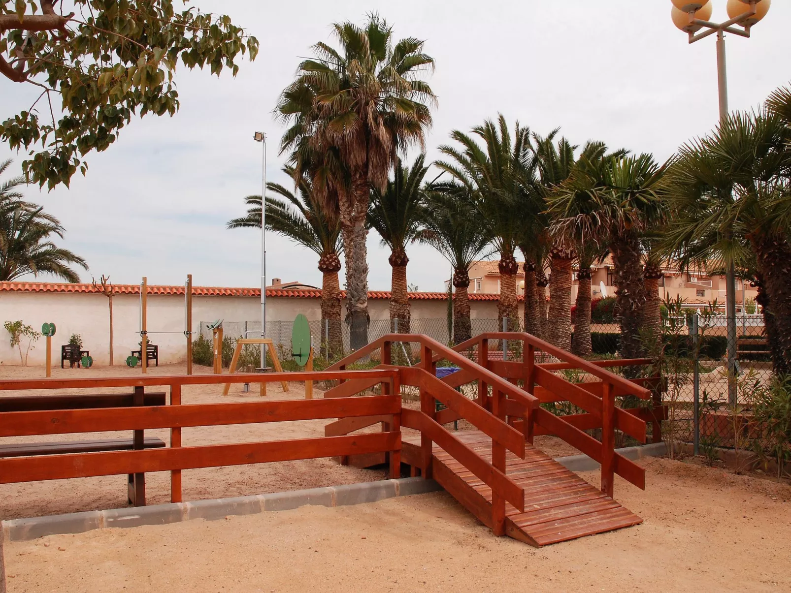 Olivos 8-Image-tags.info