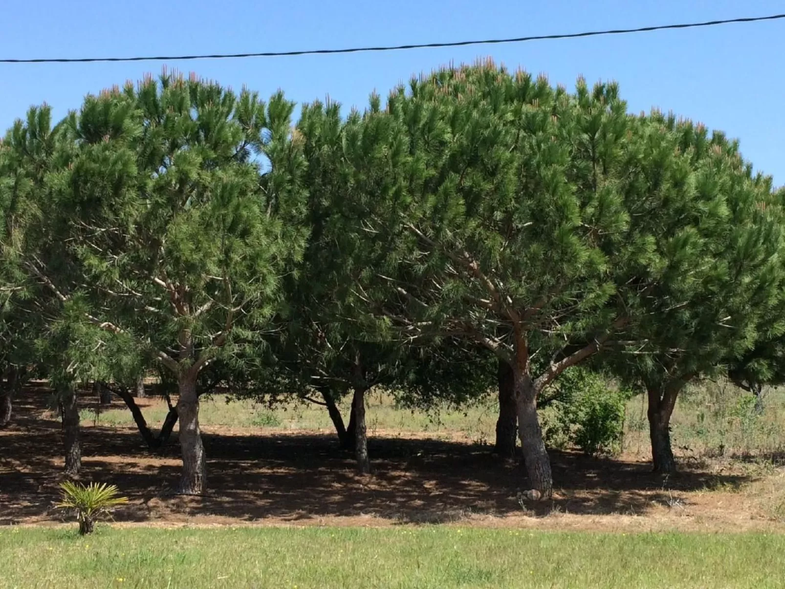 Design Vila mit Pool-Buiten