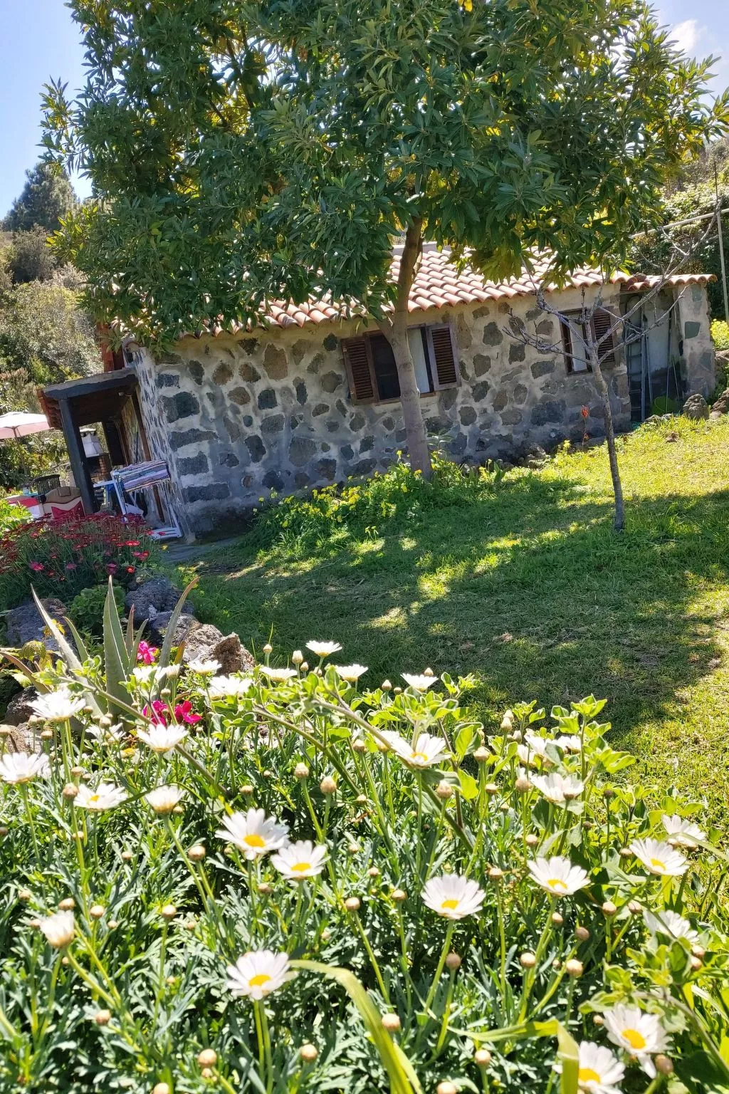 FW Cueva del Viento - Image-tags.info