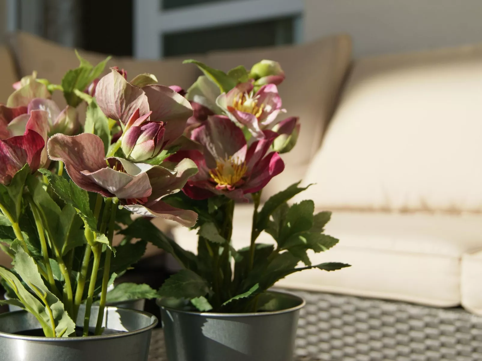 Wohnung "Casa JoCa Pueblo-Image-tags.info