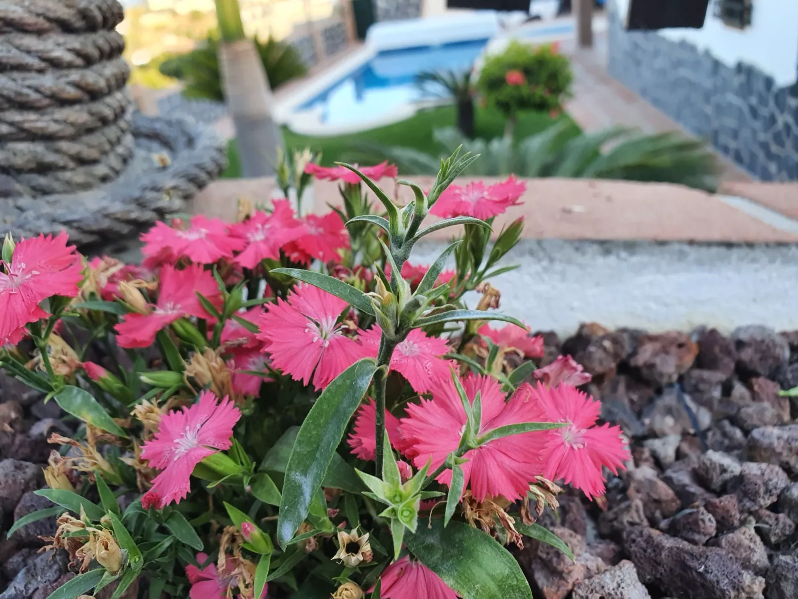 "Angelyn" mit Jacuzzi-Buiten