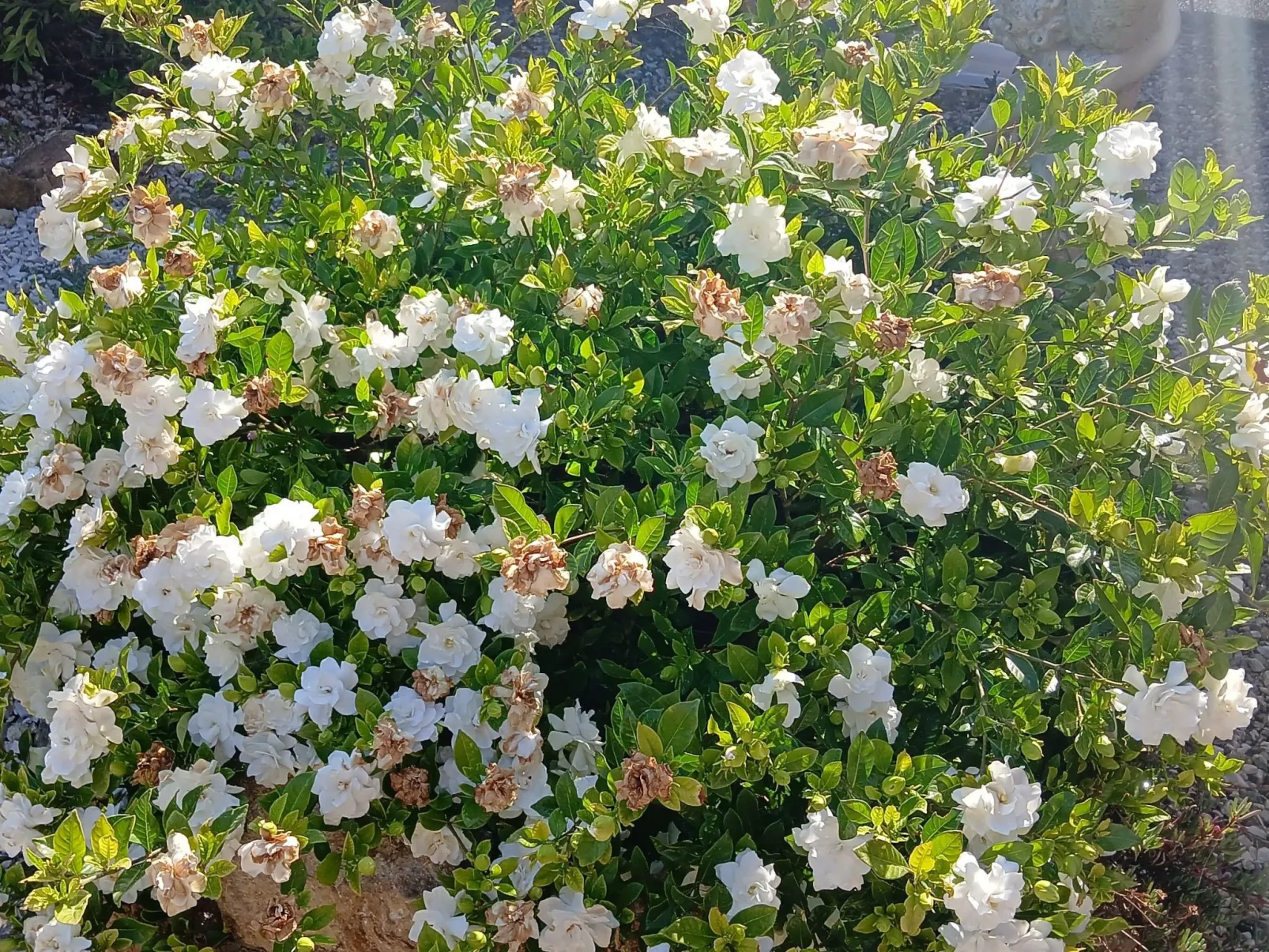 Wohnung mit Wasserblick-Buiten