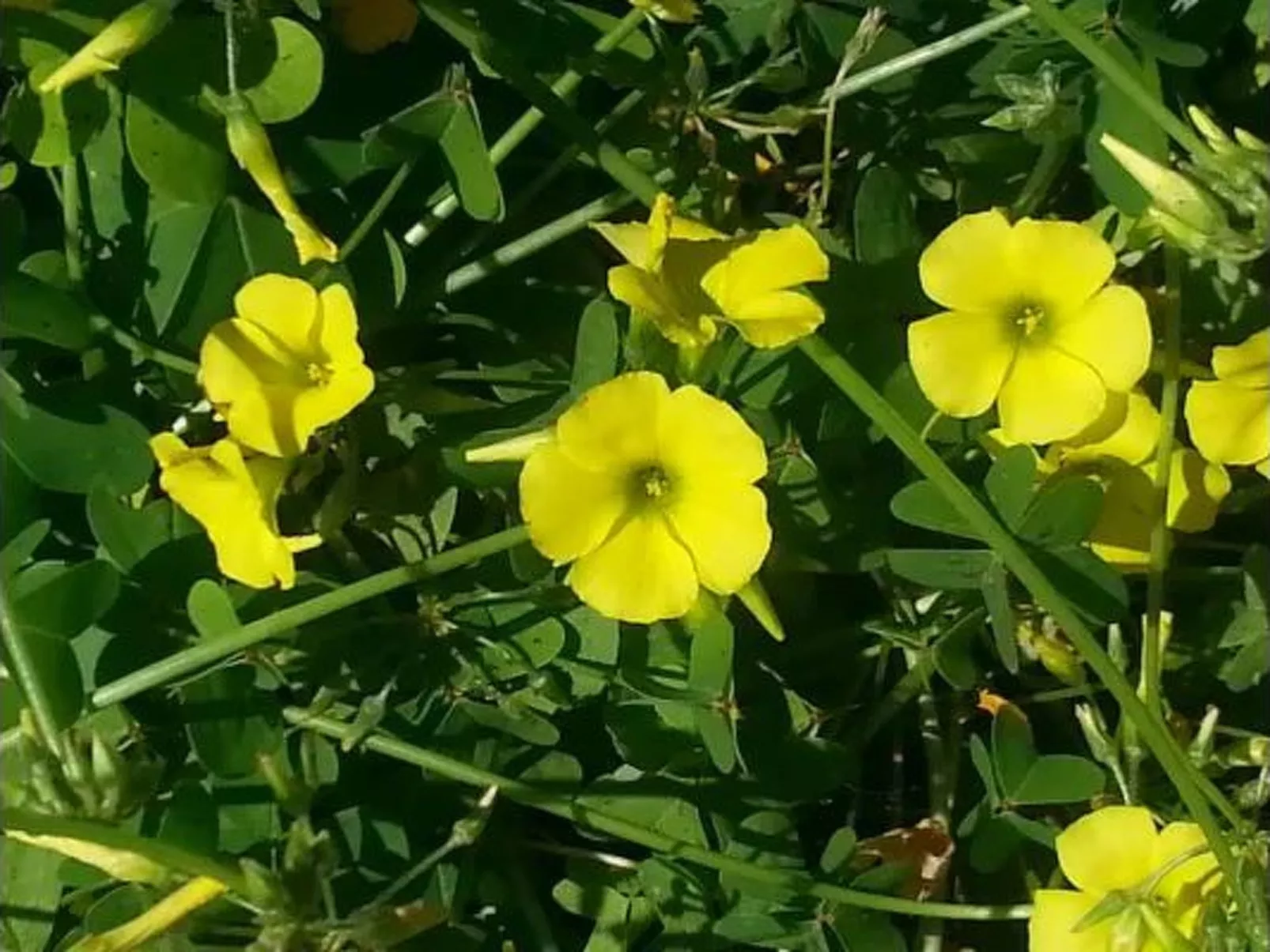 VanessaHolidayHome Erster Stock in Cava d'Aliga-Binnen