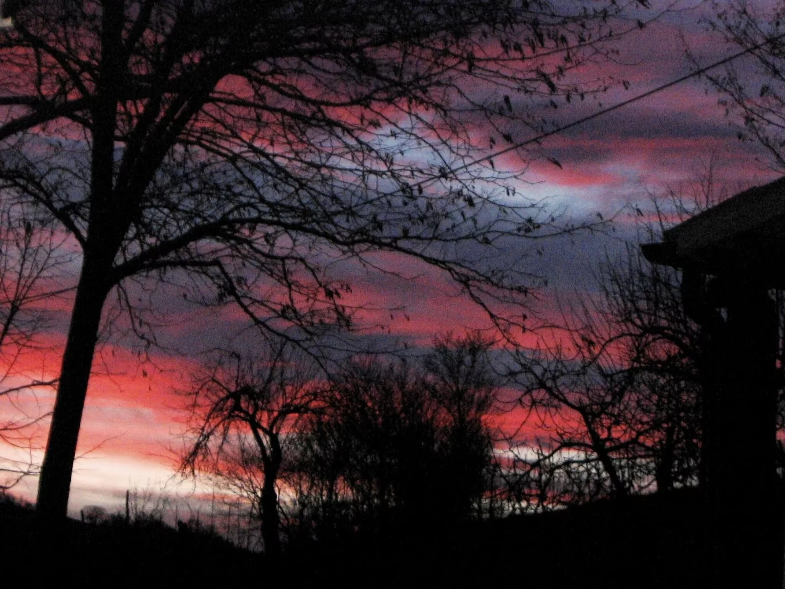 Flacher Flieder-Buiten