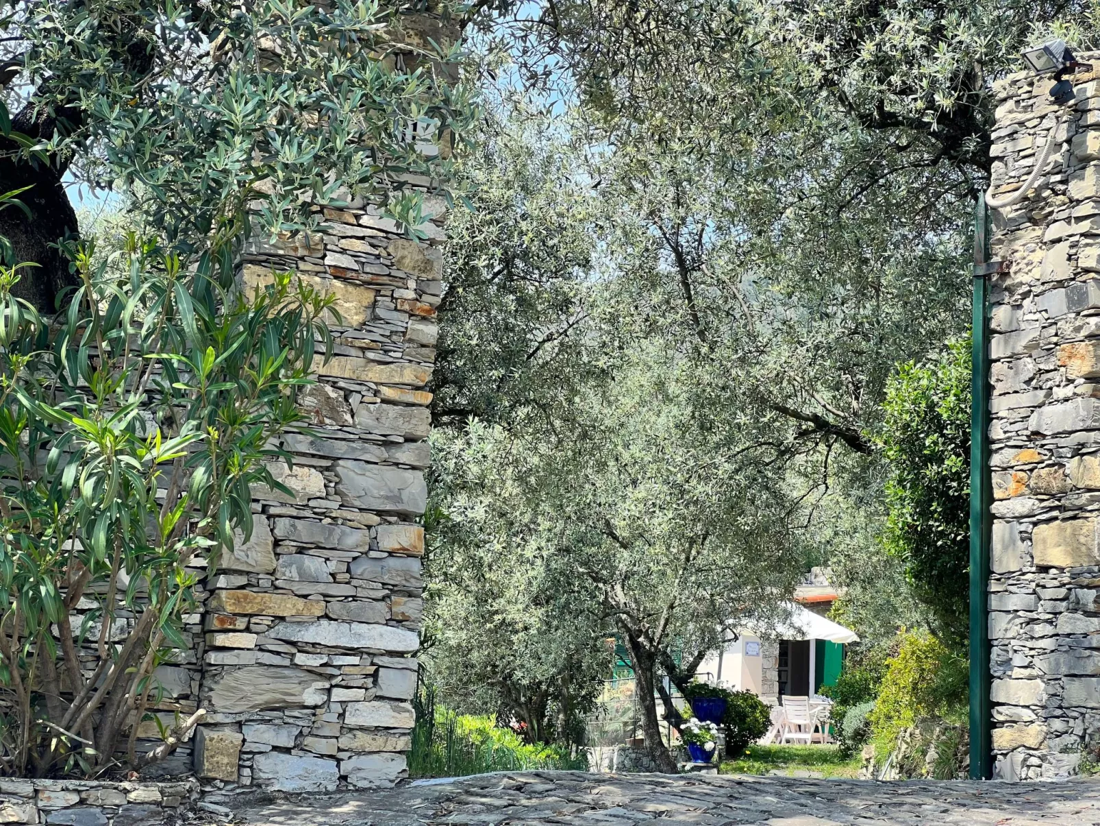 Gemütliche, helle Ferienwohnung Leda-Buiten