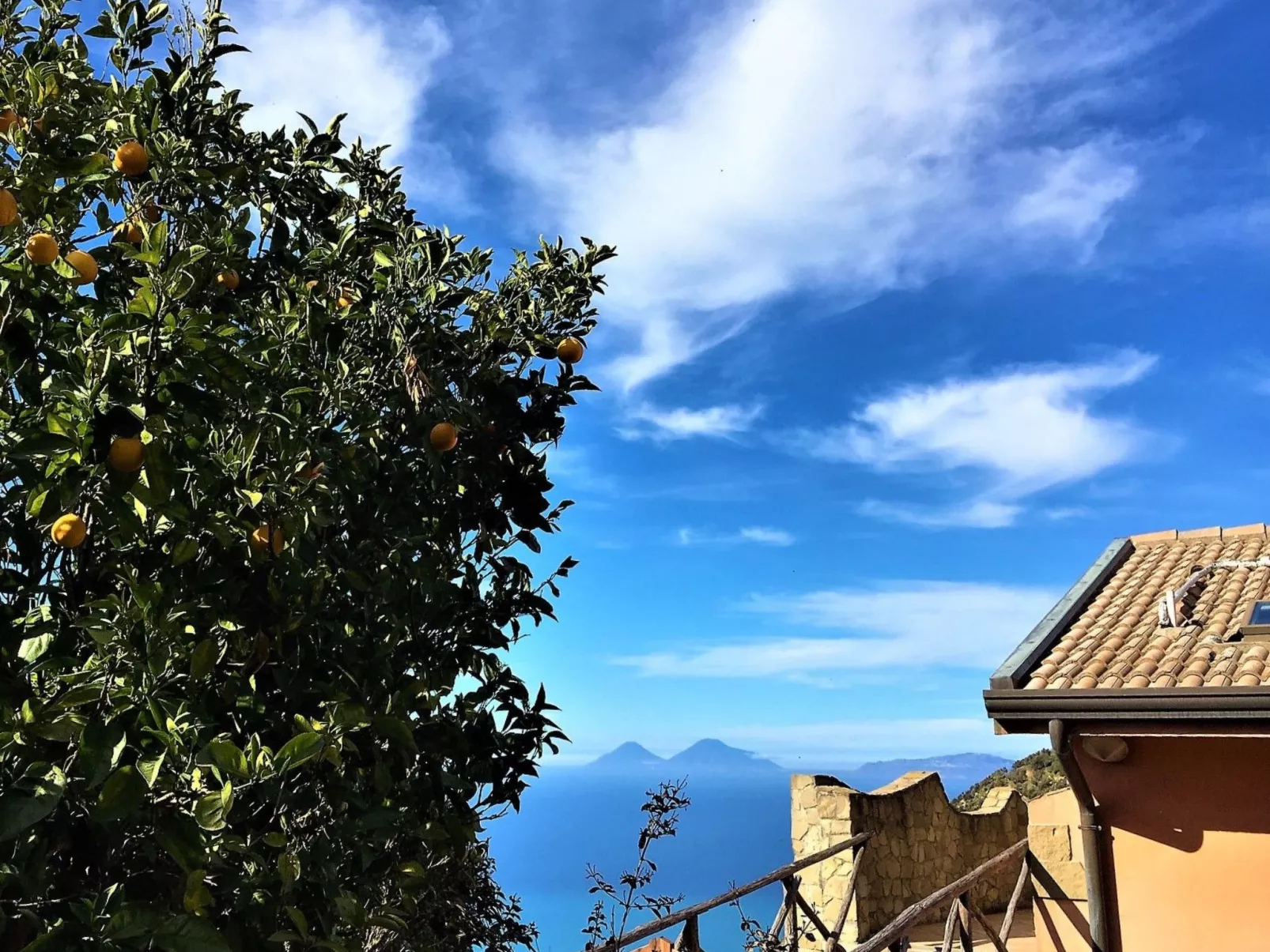 Flache Zeder-Image-tags.info