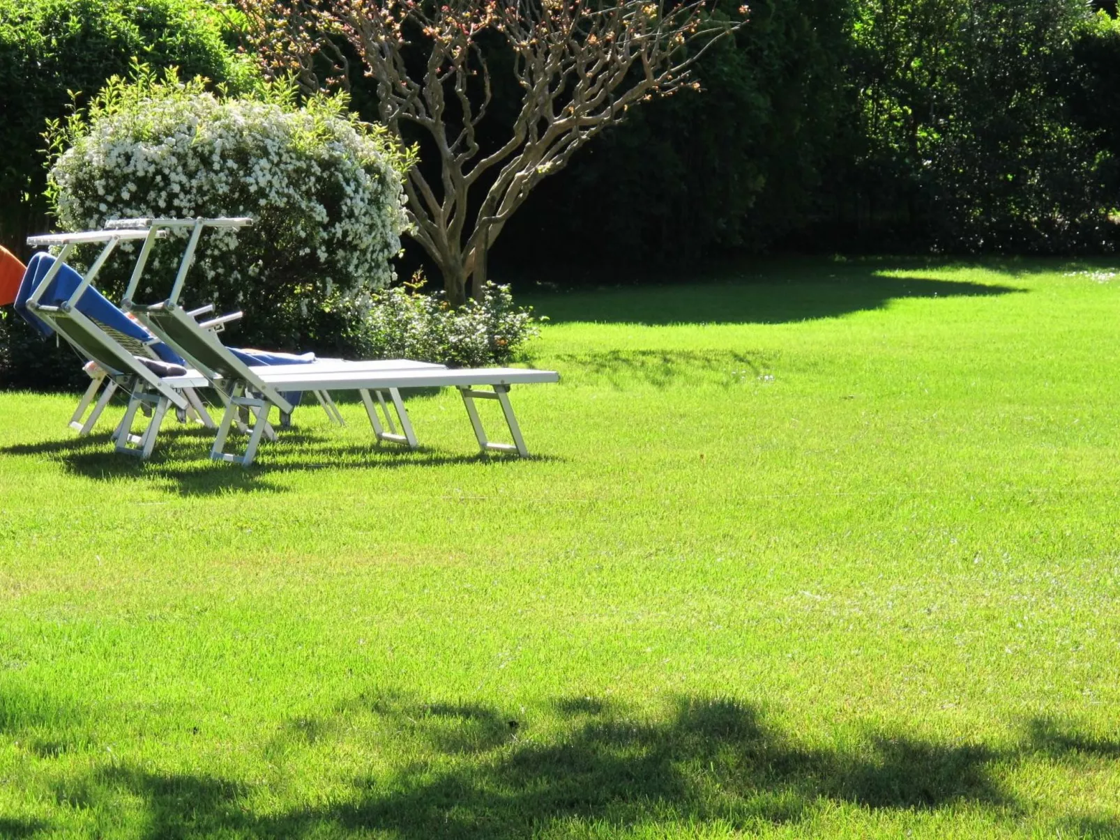 Wohnung Dependance mit Gemeinschaftspool-Image-tags.info