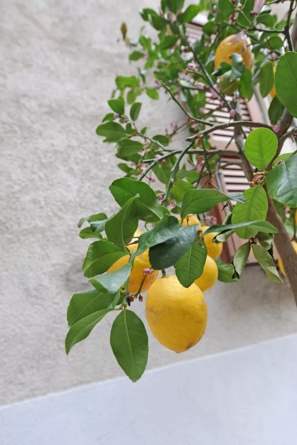 'Bella Vacanza 2-Buiten