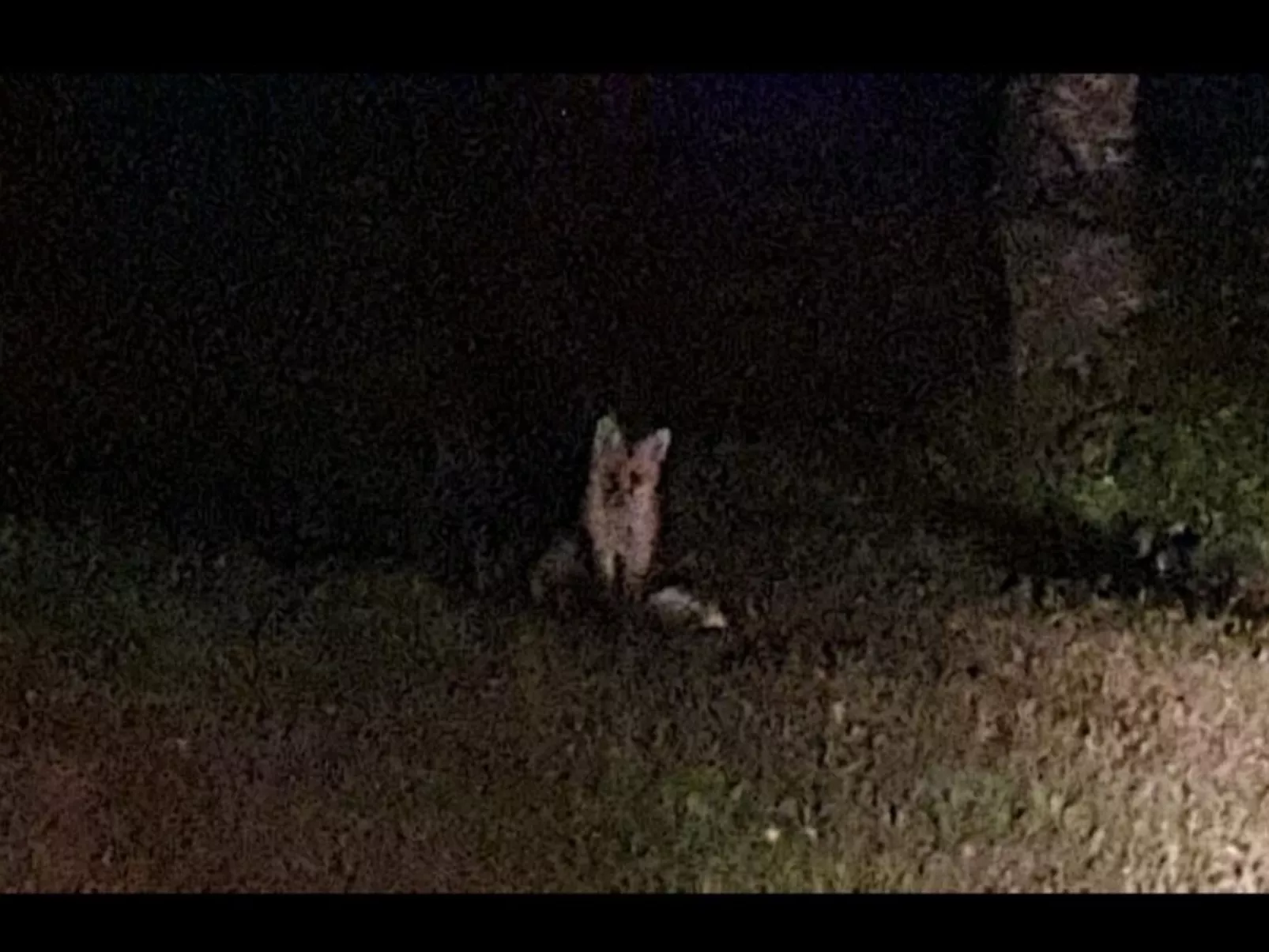 Berghütte mit Wasserblick-Buiten