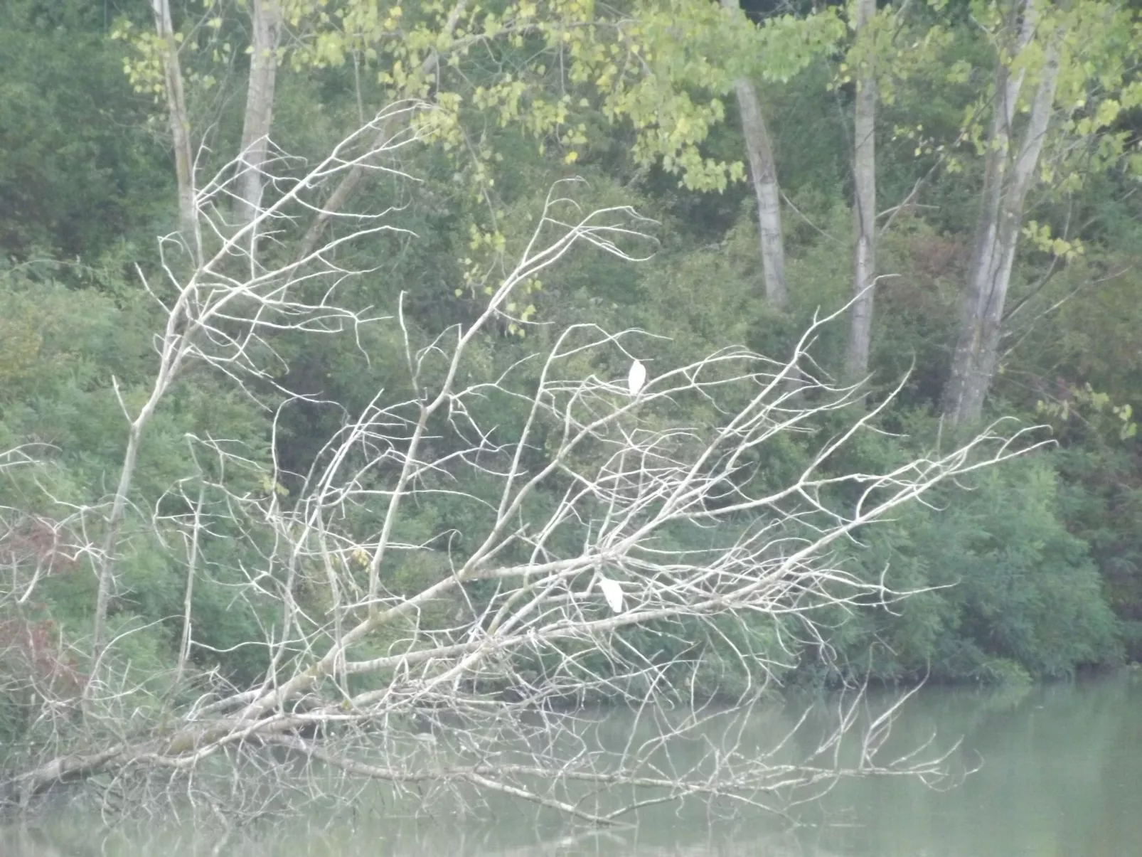 Wohnung in gemütlichem kleinen Bauernhaus-Binnen