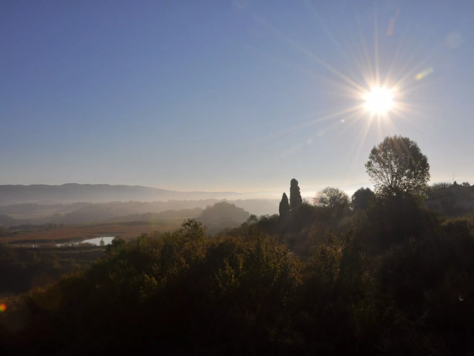 Sonnenblume Wohnung-Image-tags.info