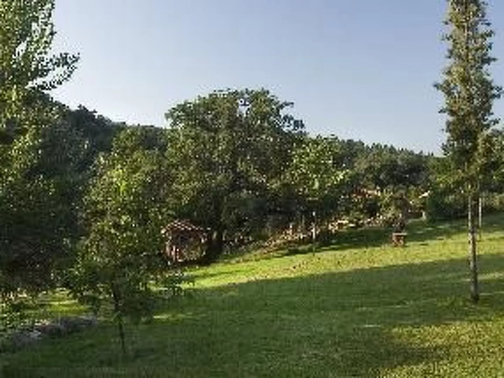 La Cigüeña-Image-tags.info