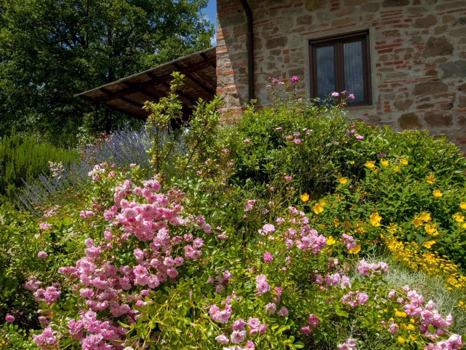 Anwesen "Frantoio" mit Infinity-Pool-Buiten