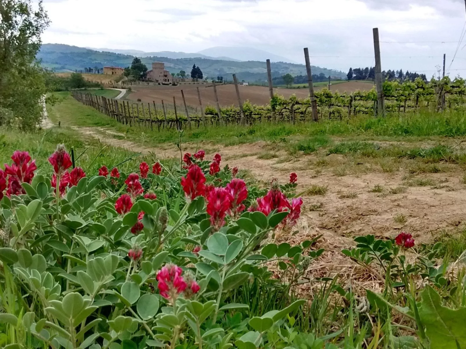 Wohnung Bosco-Buiten